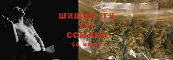 тгк Арсеньев