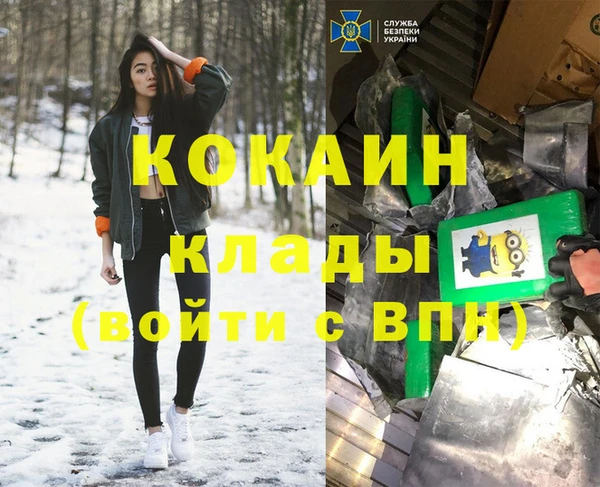 индика Сосновый Бор