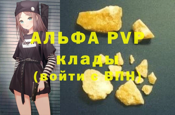 индика Сосновый Бор