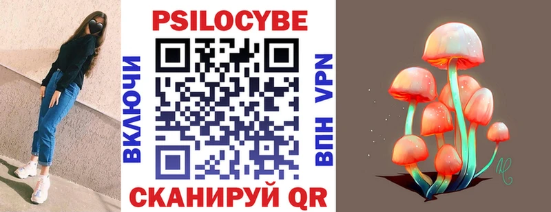 купить наркотик  мега ссылка  Псилоцибиновые грибы мицелий  Вольск 