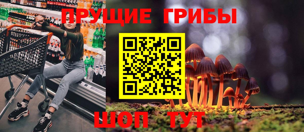 Галлюциногенные грибы Psilocybine cubensis Вольск